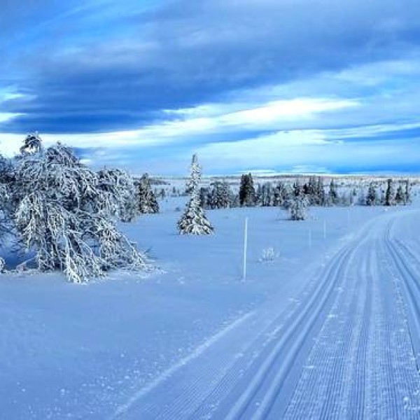 Norwegen im Winter 2015